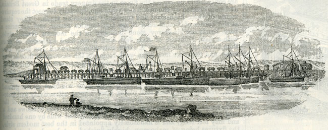 Great Western Wharf and Railway, East Bank of River Usk, Newport (Mon.). 1893