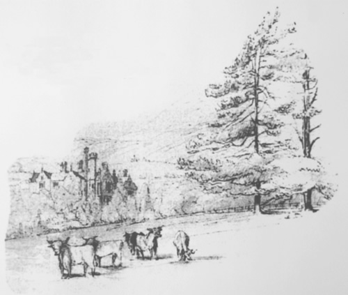 19th century view of Malpas Court