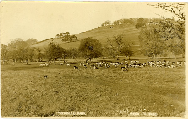 Tredegar Park - Huxtable Brothers postcard